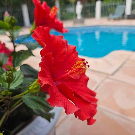 Les Jardins Du Patriarche Hotel Агд Экстерьер фото