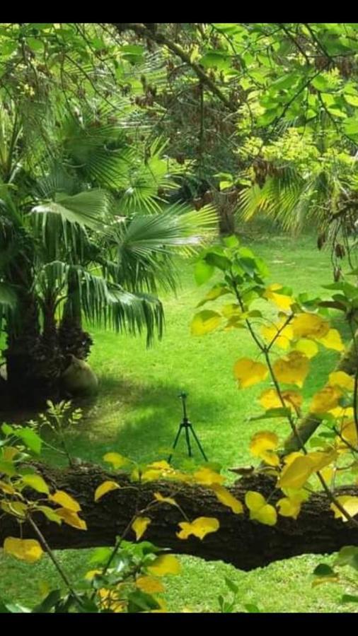 Les Jardins Du Patriarche Hotel Агд Экстерьер фото