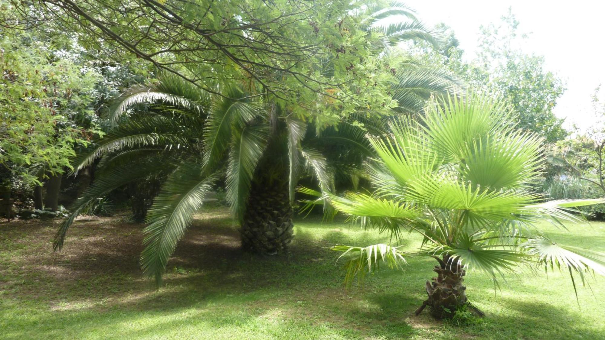 Les Jardins Du Patriarche Hotel Агд Экстерьер фото