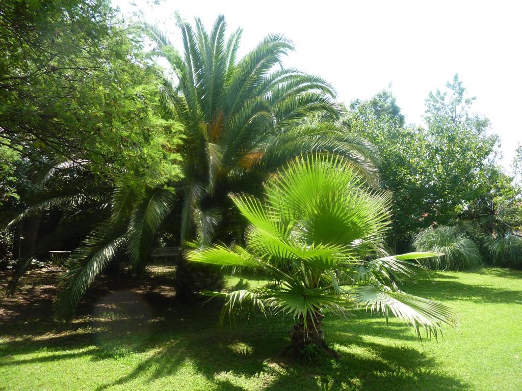 Les Jardins Du Patriarche Hotel Агд Экстерьер фото